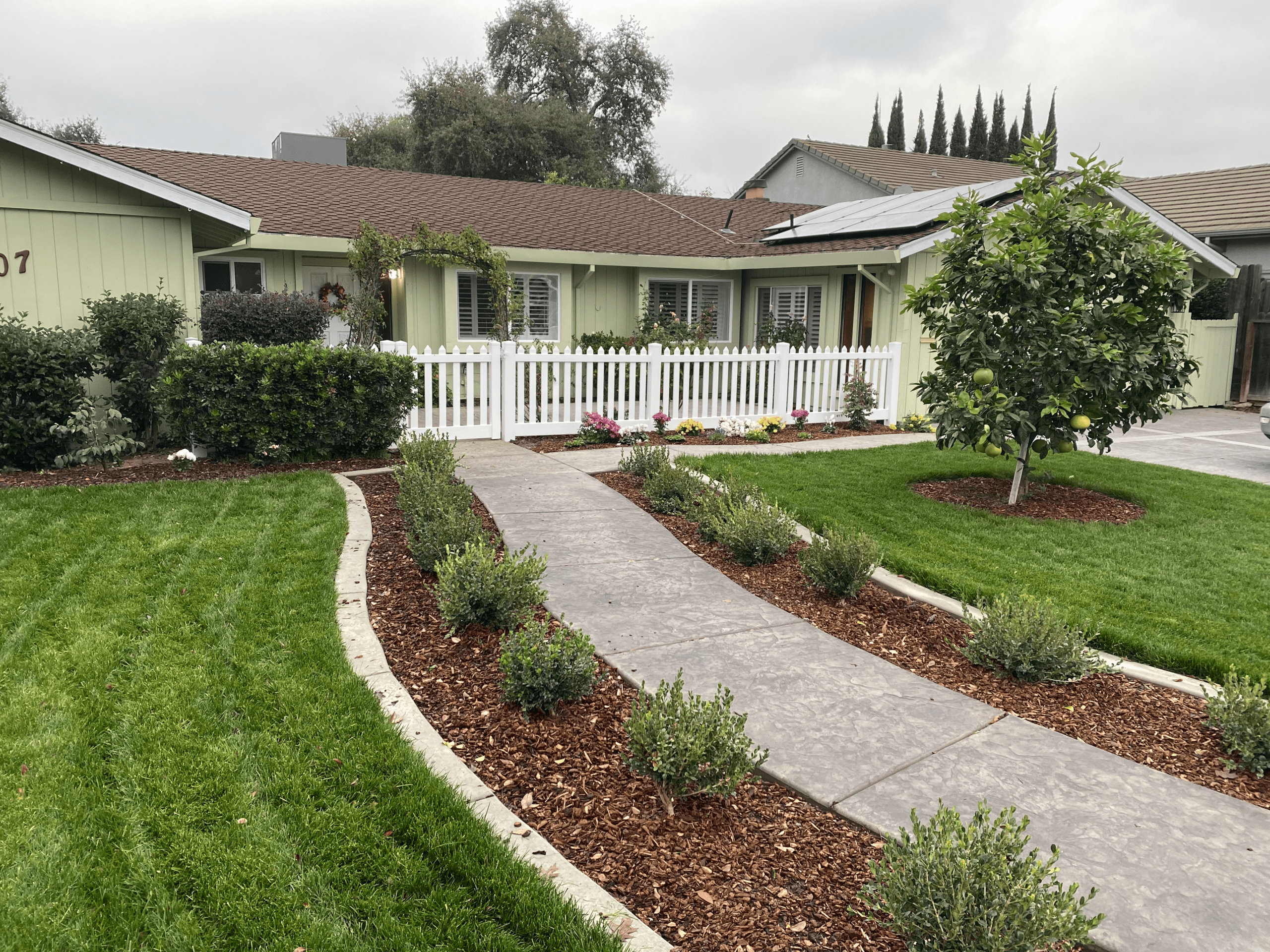 A single-story house with light green siding, a brown roof, white fence, landscaped yard, and a concrete walkway curving through mulch and bushes.